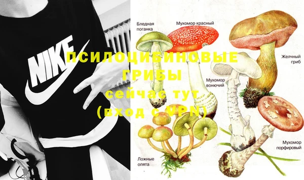 прущие крисы Алексеевка