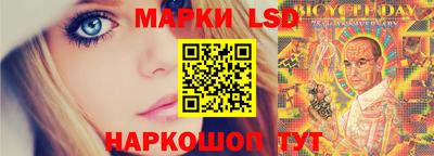 индика Абакан