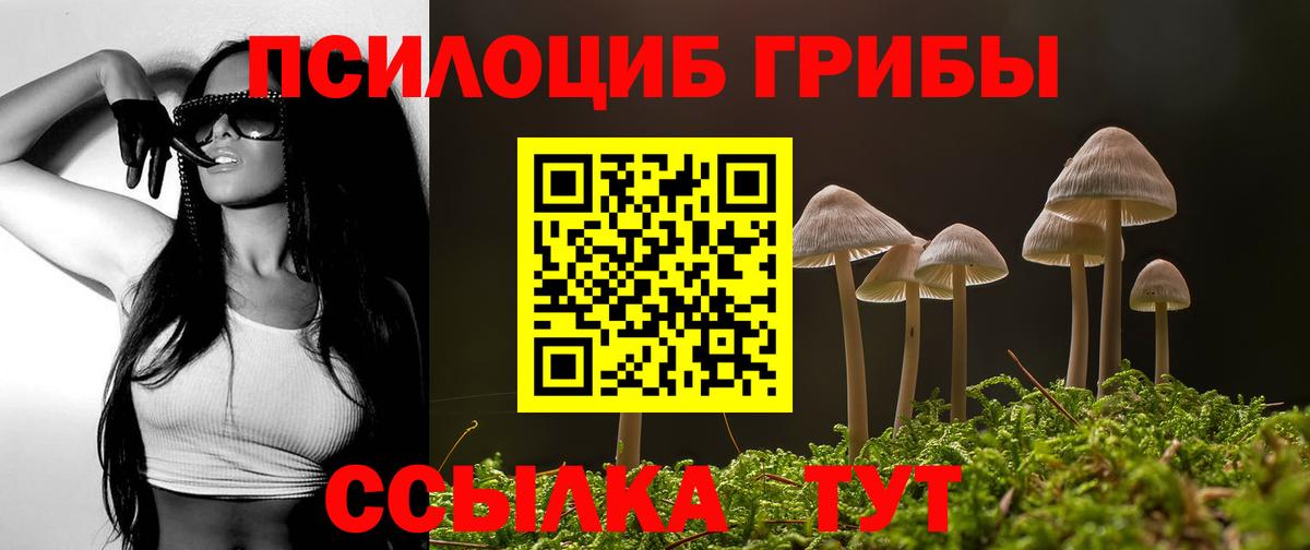 Анапа  Псилоцибиновые грибы мухоморы  Вход с VPN 